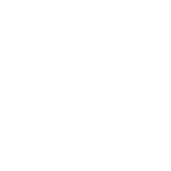 RAKwireless White Logo